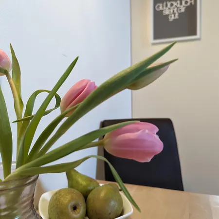 Appartement Auszeit Buch