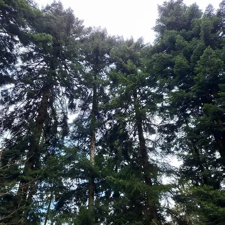 アパート Auszeit Buch