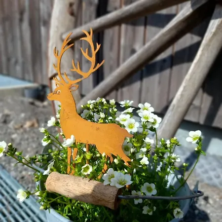 アパート Auszeit