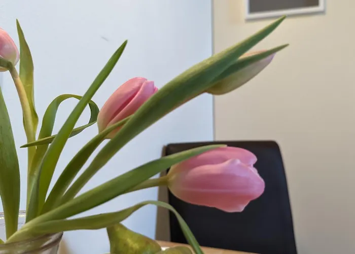 Apartment Auszeit Buch