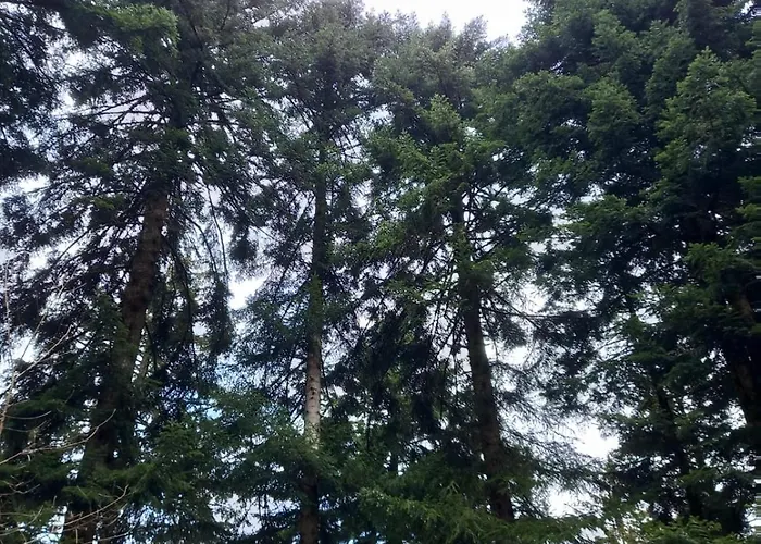 Apartment Auszeit Buch